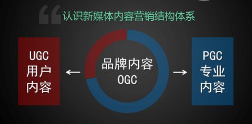学习新媒体运营，把握互联网销售新机遇